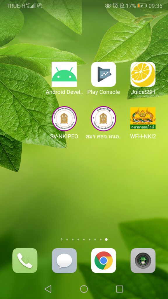 Screenshot_20210619_093654_com.huawei.android.launcher